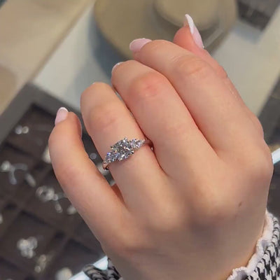 updated#gid://shopify/Video/33379867296048#video_id
